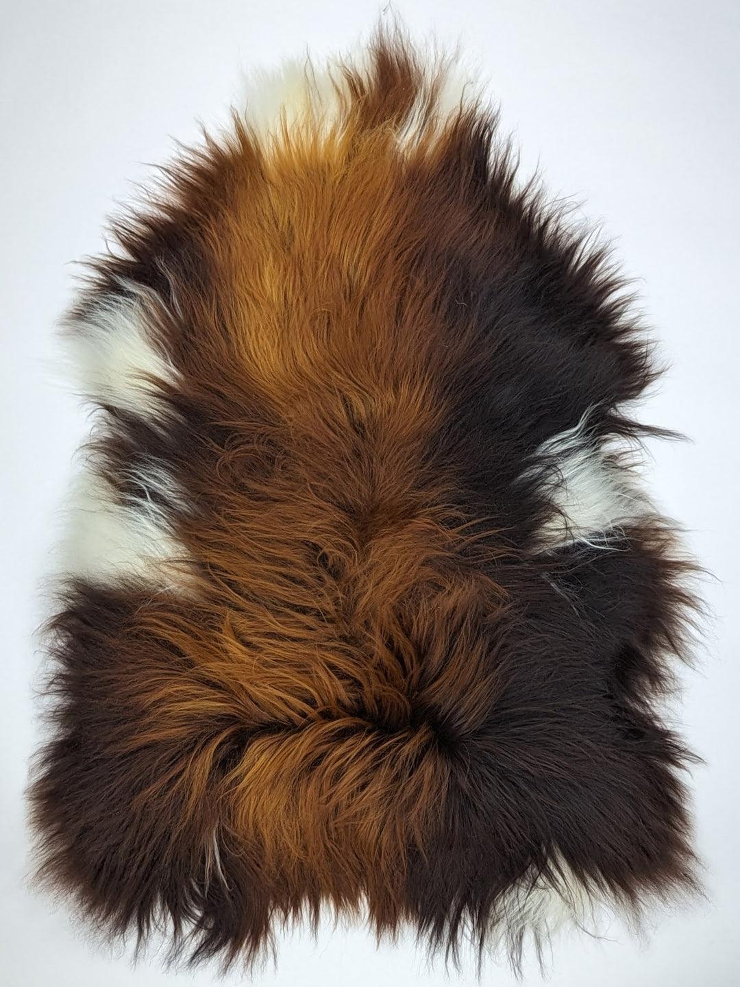 Islandiškas avikailis "Rusty" L