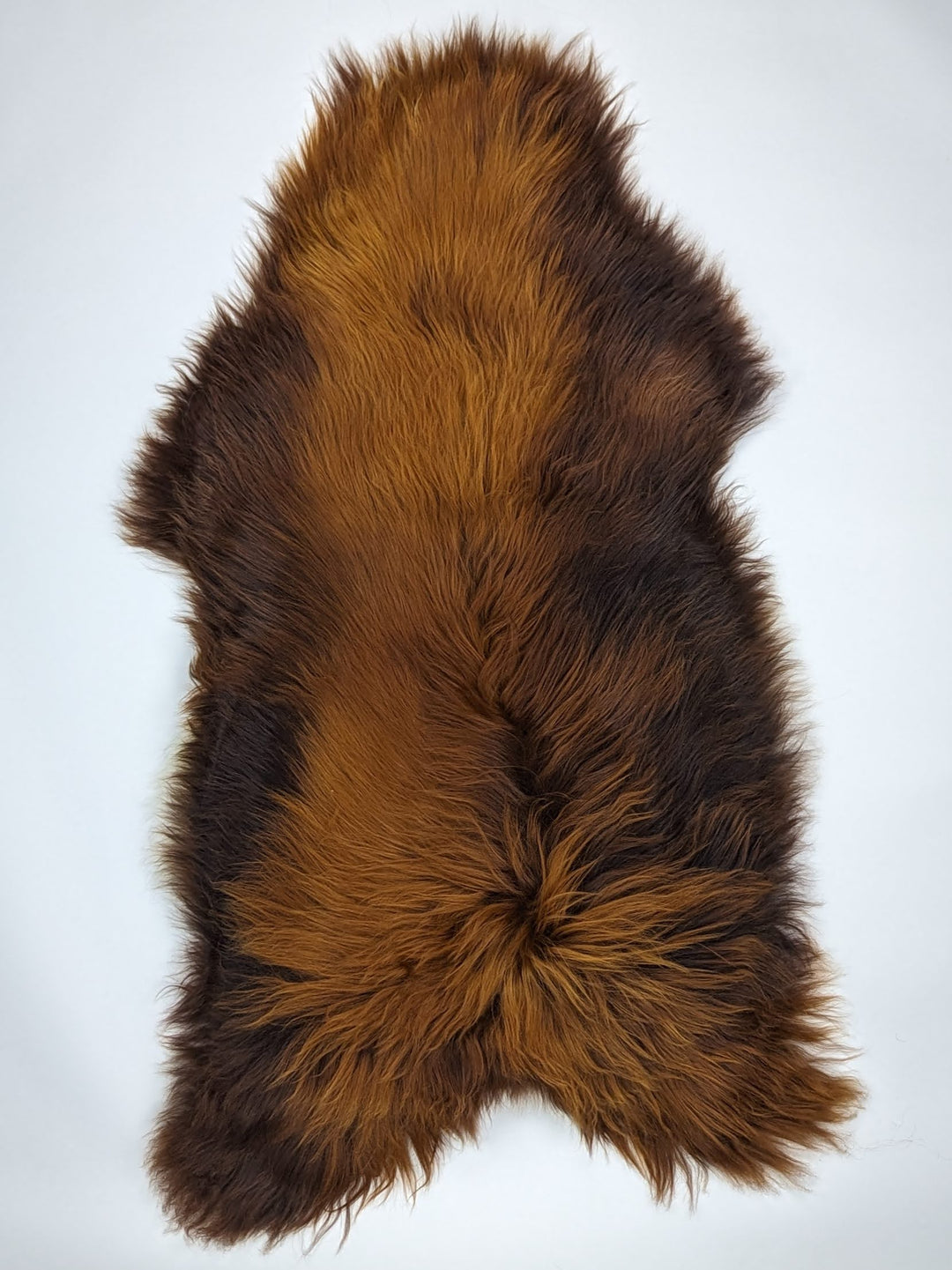 Islandiškas avikailis "Rusty" XXXL