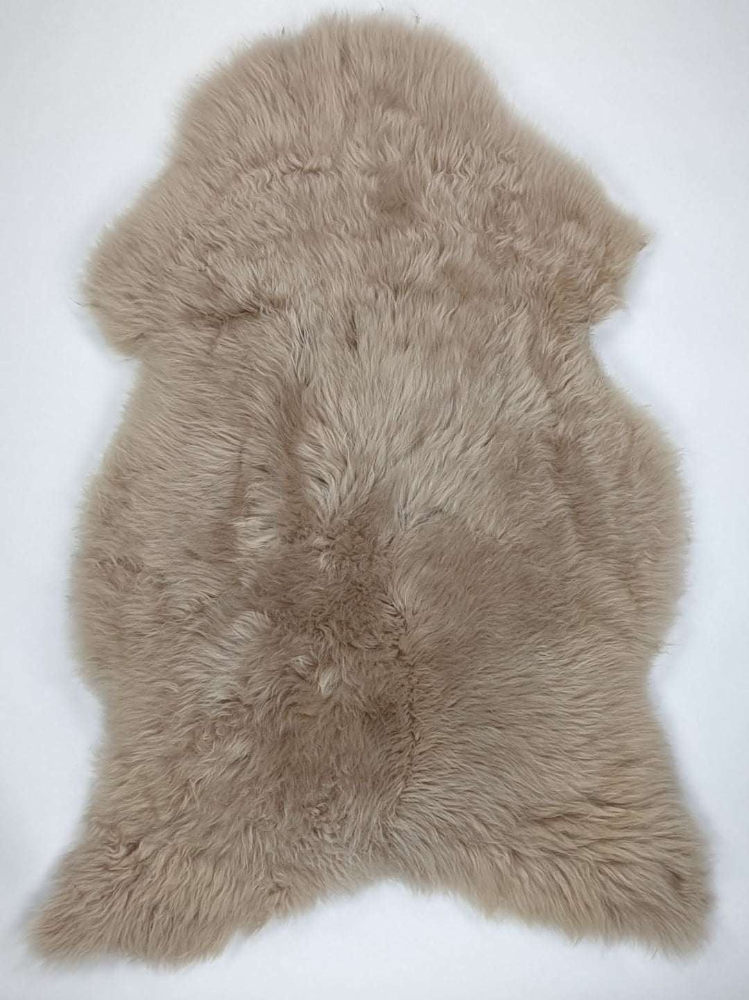 Taupe avikailis XL