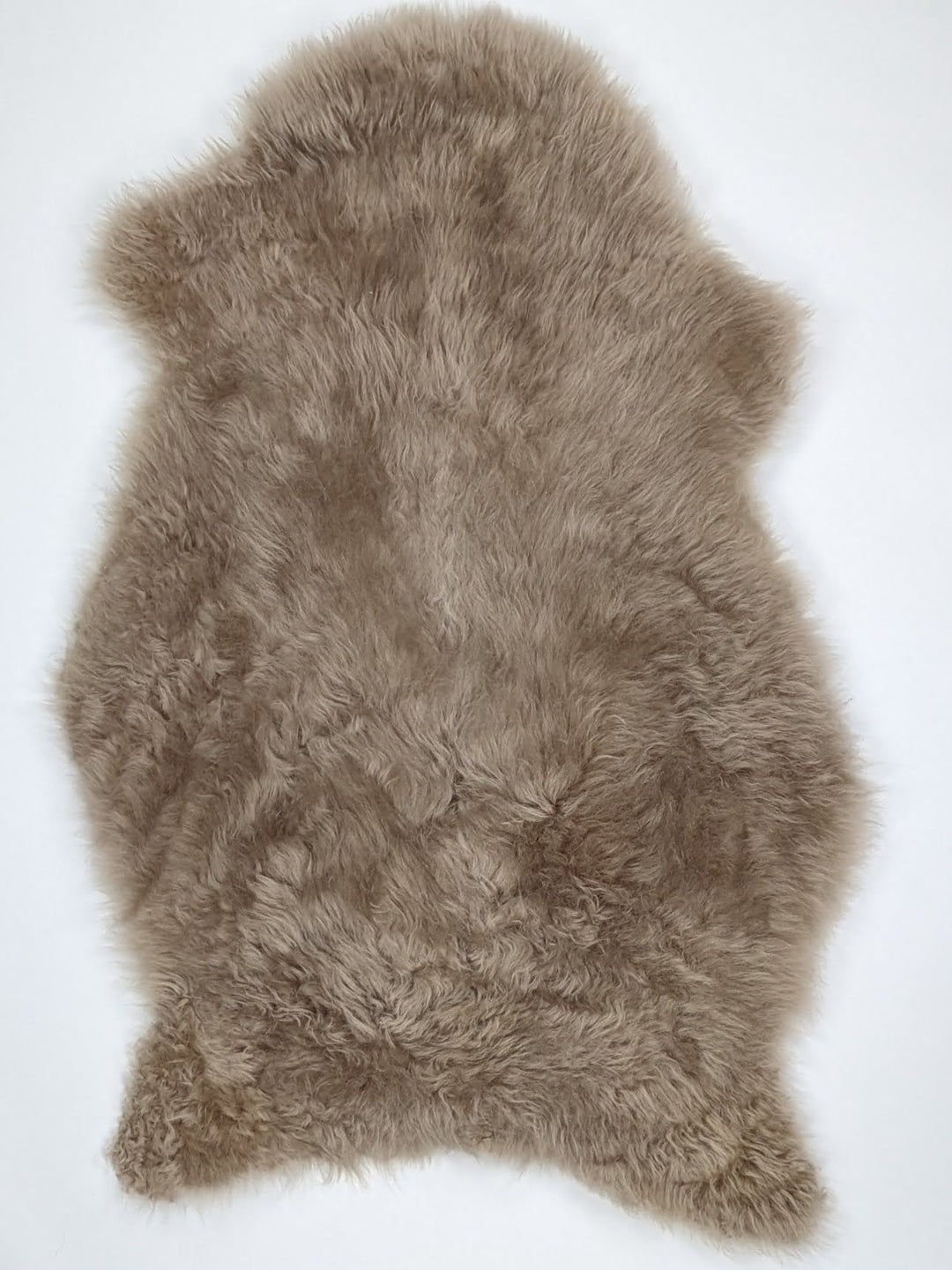 Taupe avikailis L