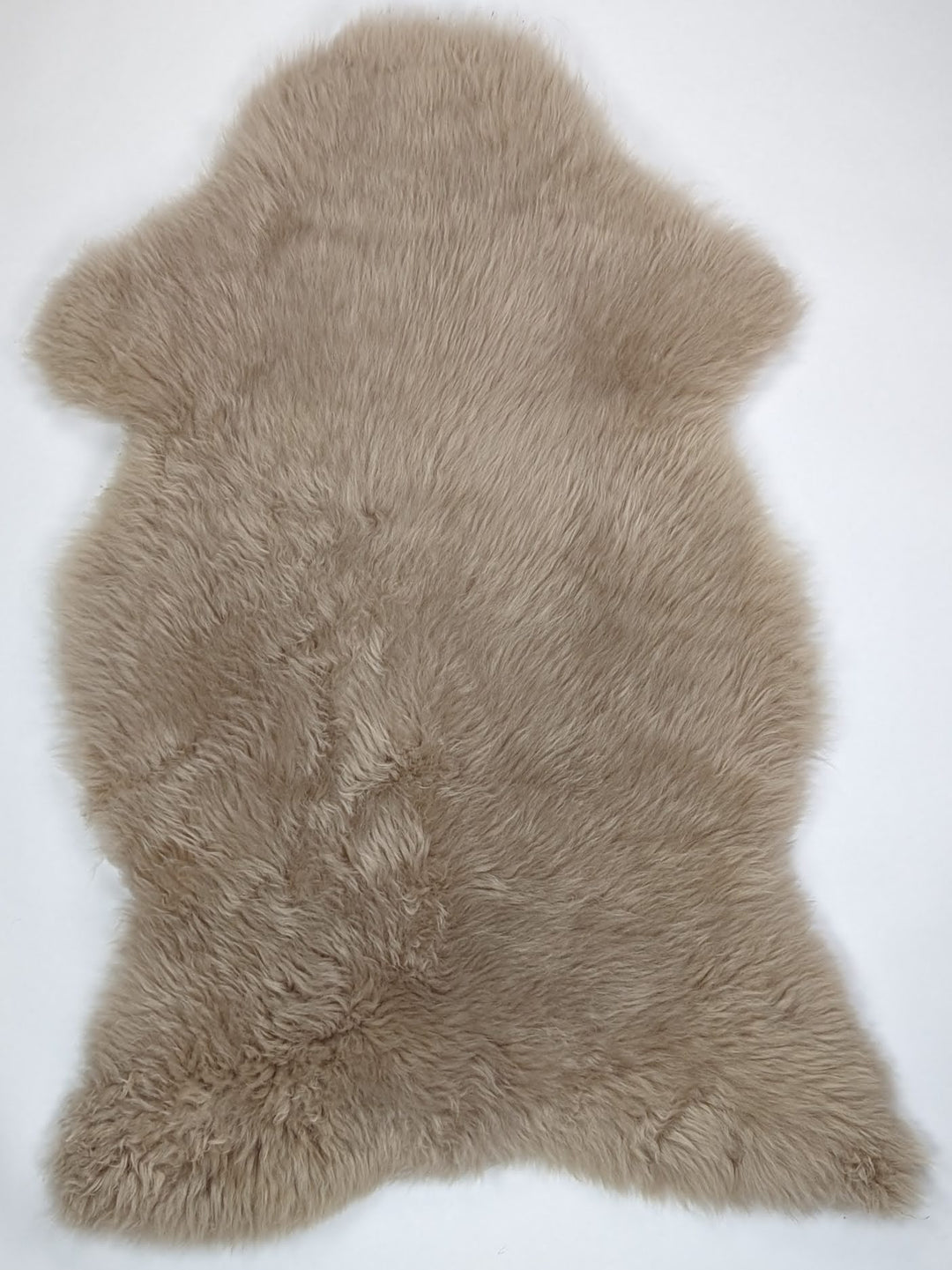 Taupe avikailis XL