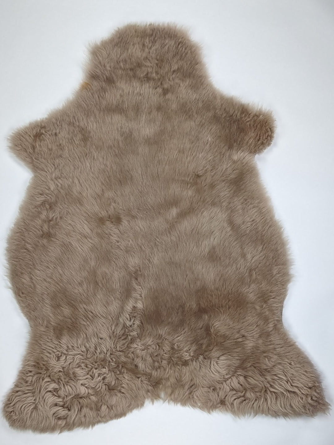 Taupe avikailis XXL