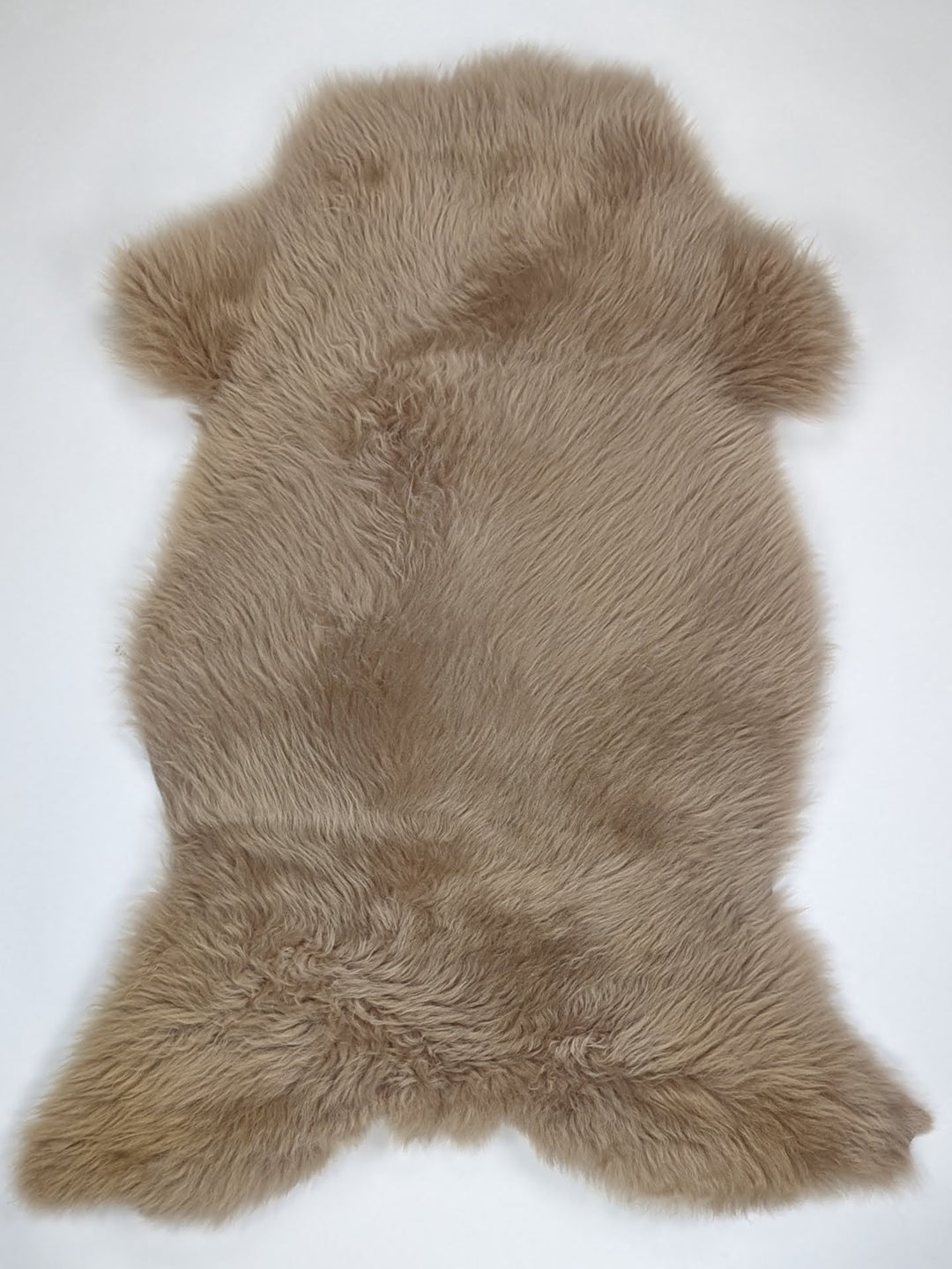 Taupe avikailis XL