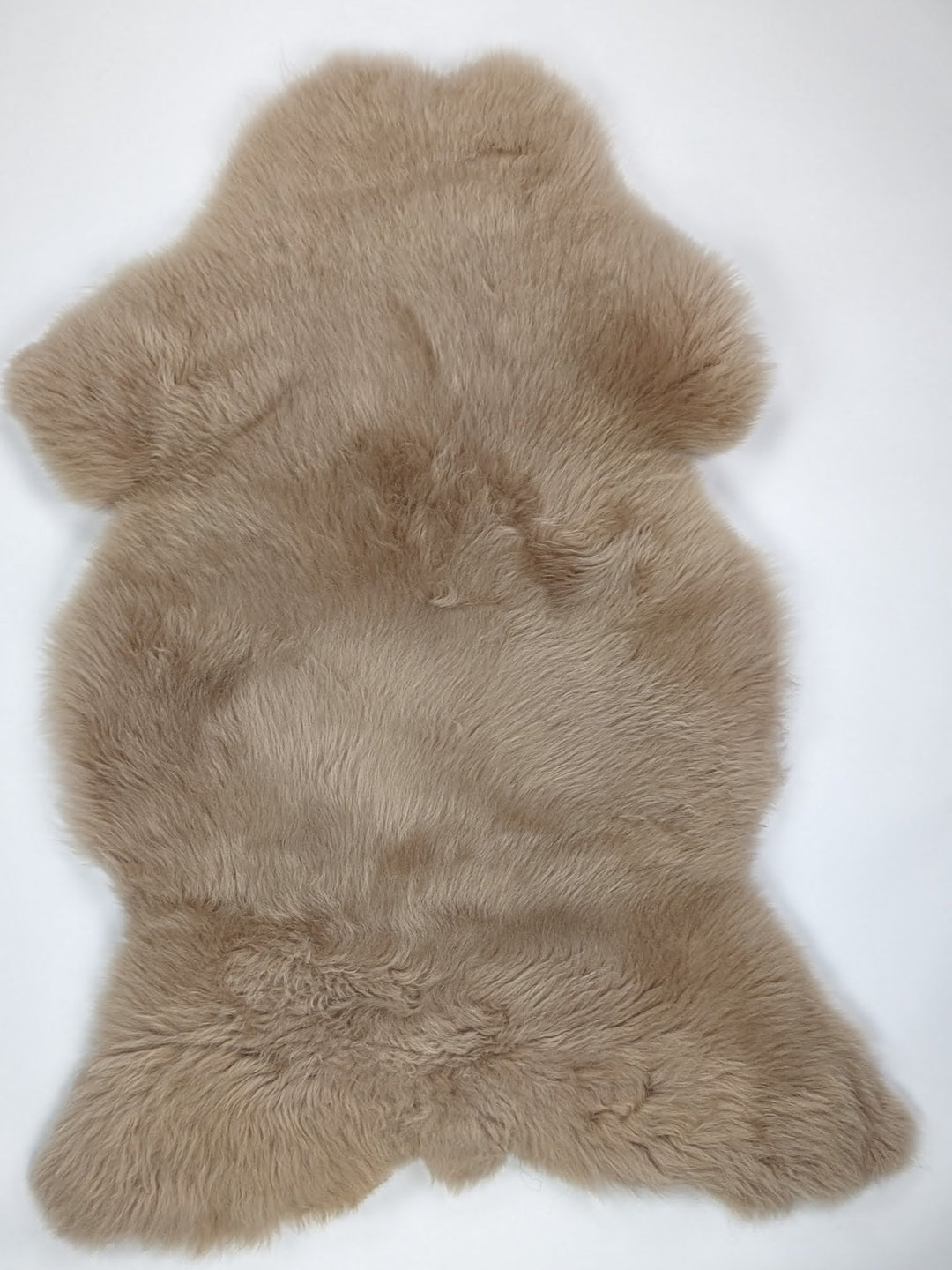 Taupe avikailis XL