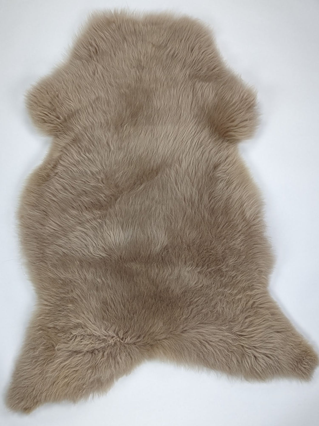 Taupe avikailis XXL