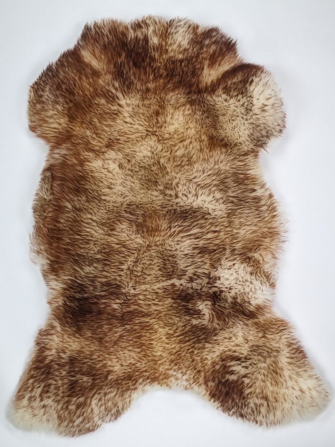 Muflono avikailis L
