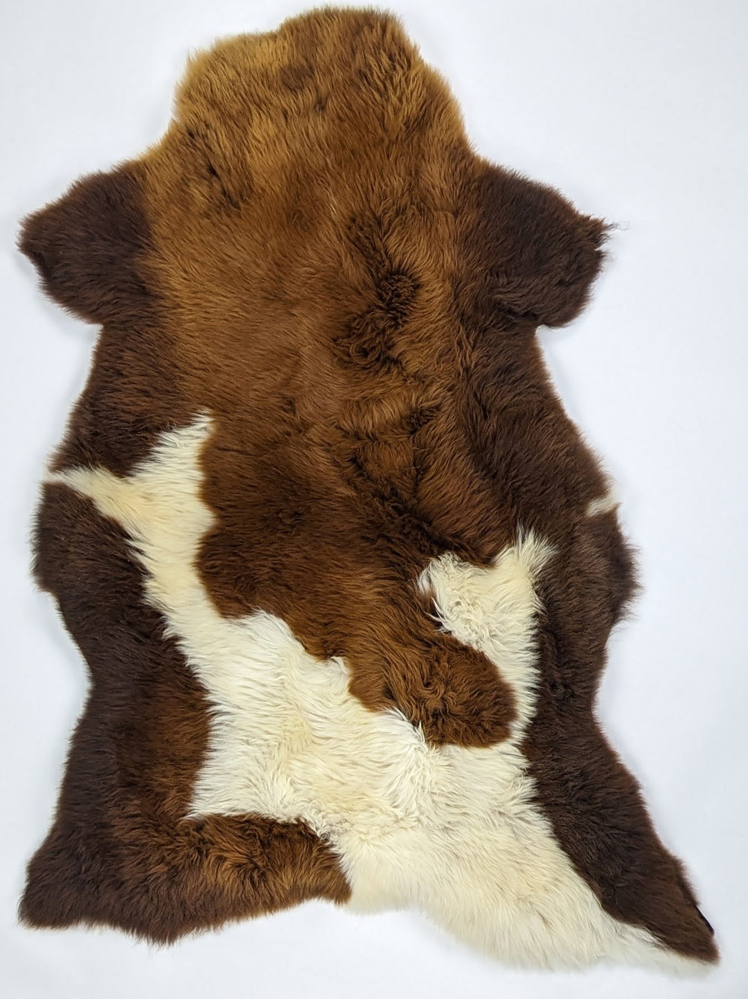 Rudas avikailis "Rusty" XL