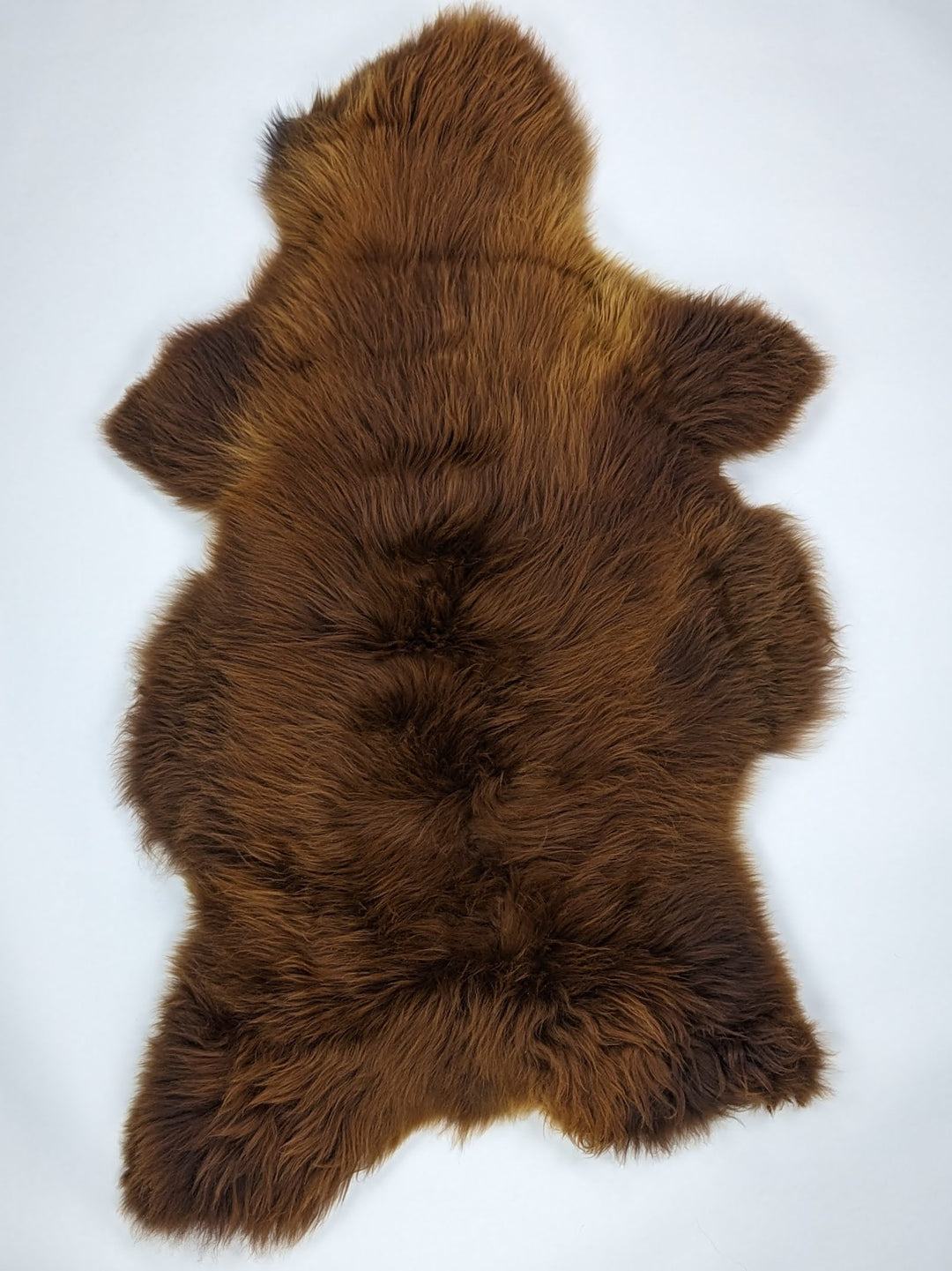 Rudas avikailis "Rusty" XXXL