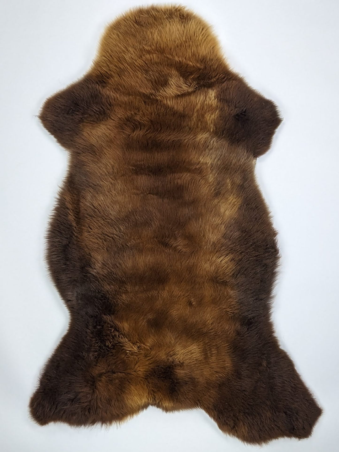 Rudas avikailis "Rusty" XL