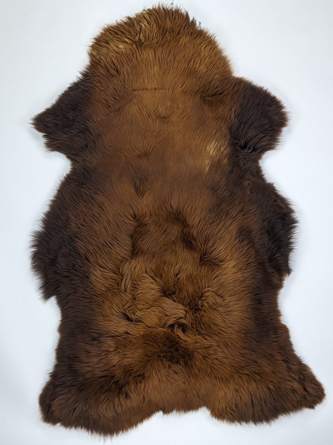 Rudas avikailis "Rusty" XL