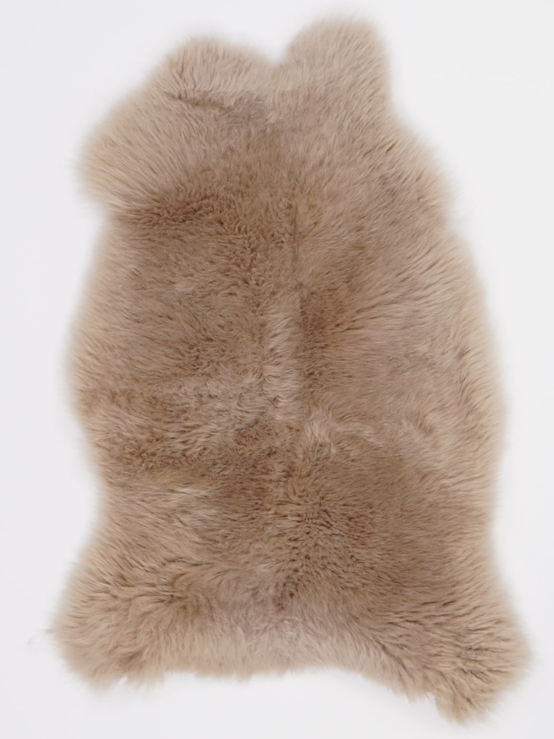 Taupe avikailis S