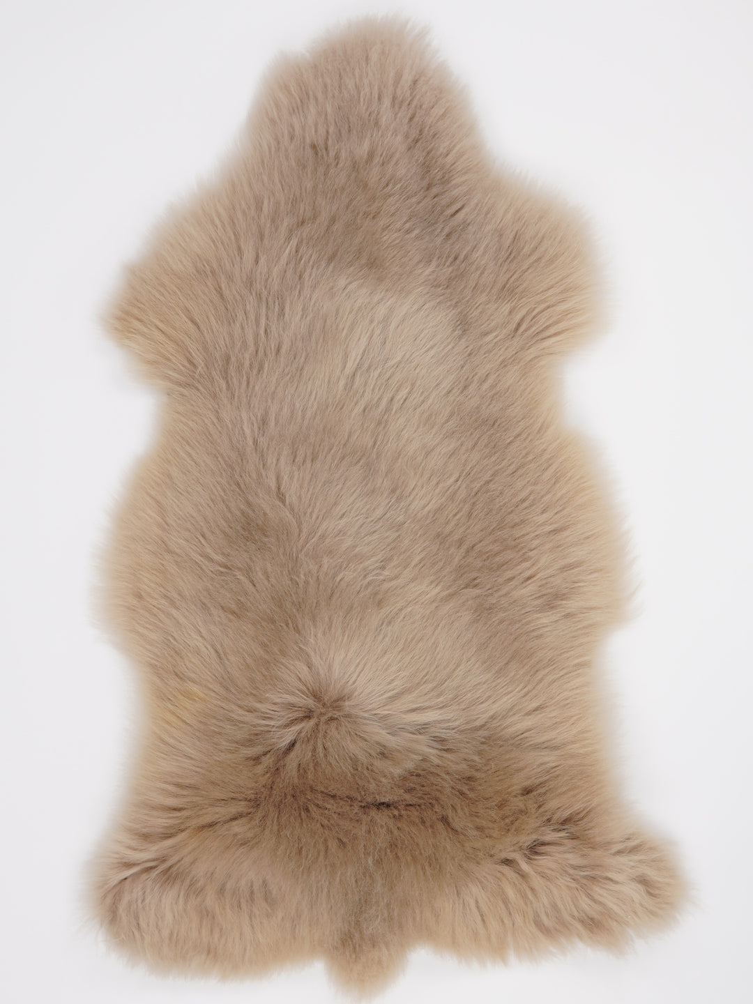 Taupe avikailis L