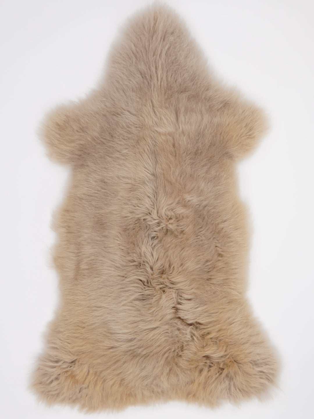 Taupe avikailis XL