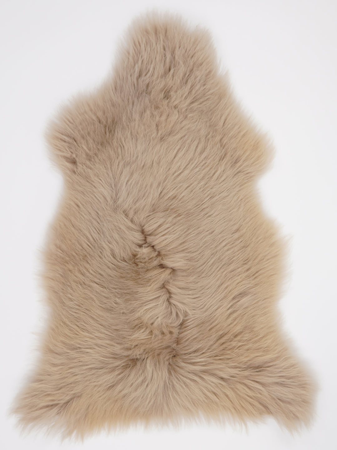 Taupe avikailis L