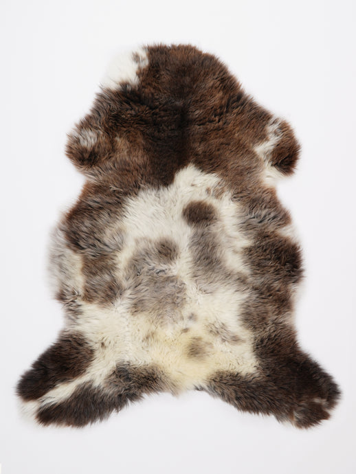 Įvairiaspalvis avikailis L