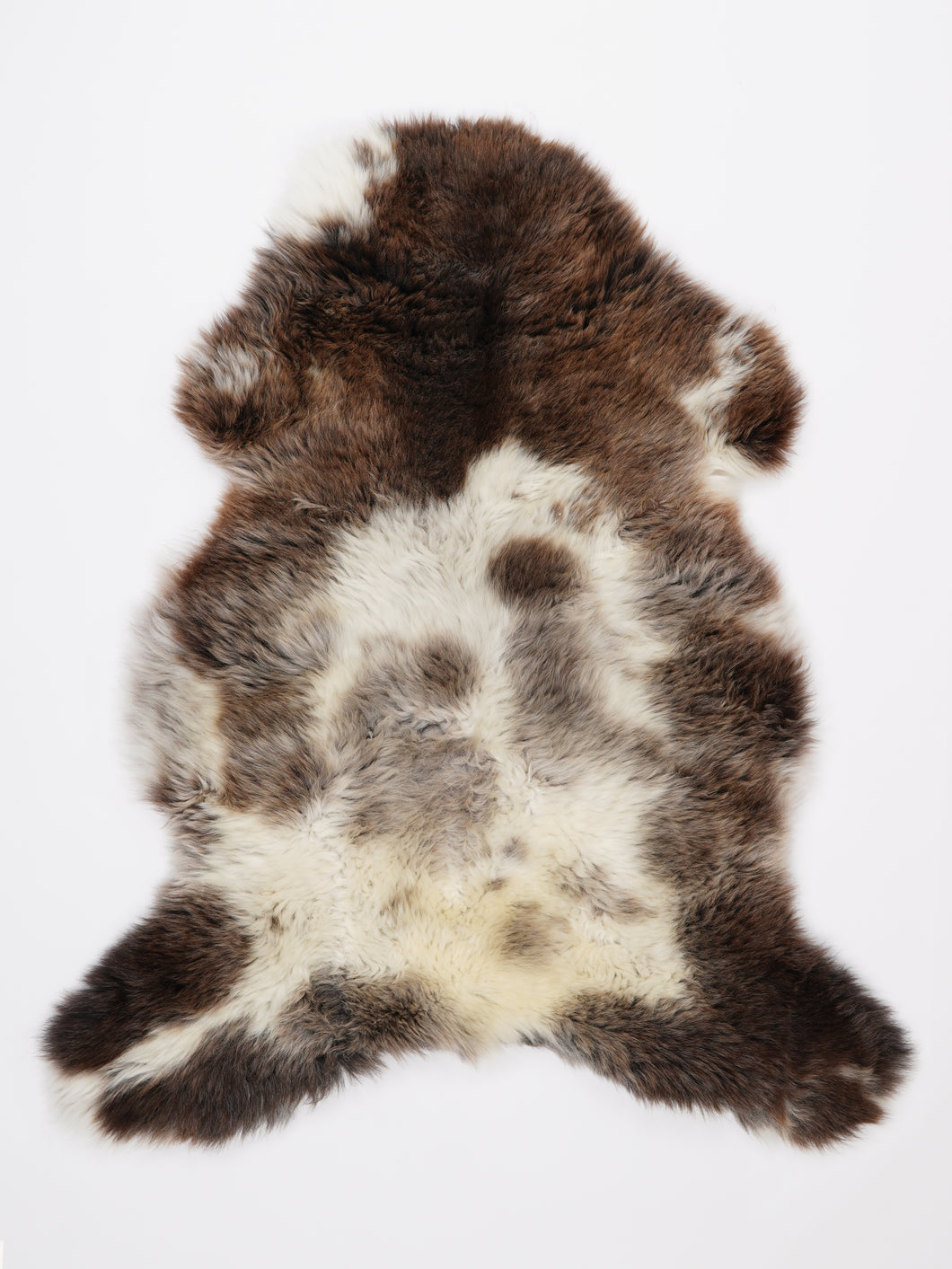 Įvairiaspalvis avikailis L