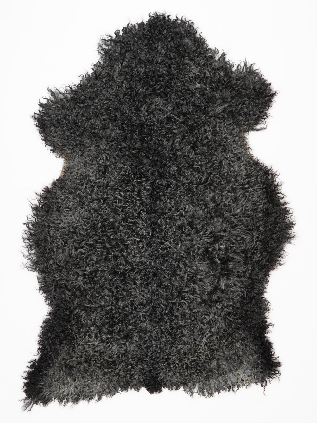 Gotlando avikailis XL