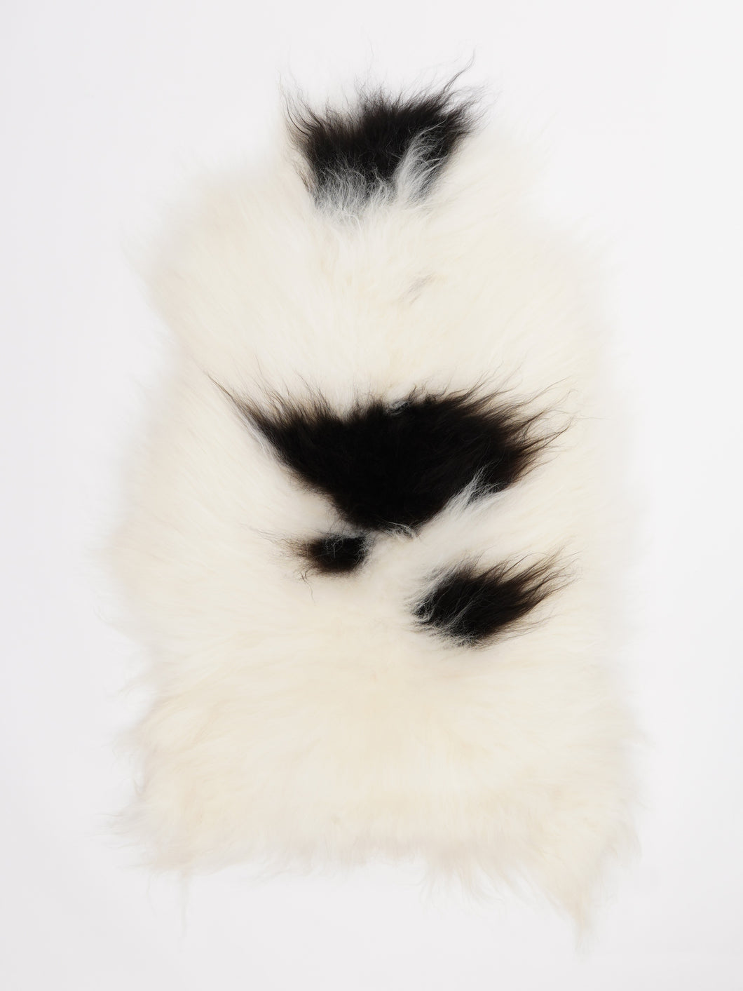 Islandiškas avikailis M