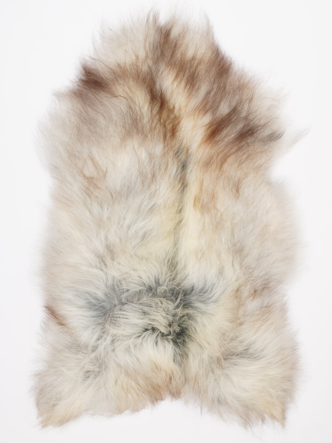 Islandiškas avikailis XL