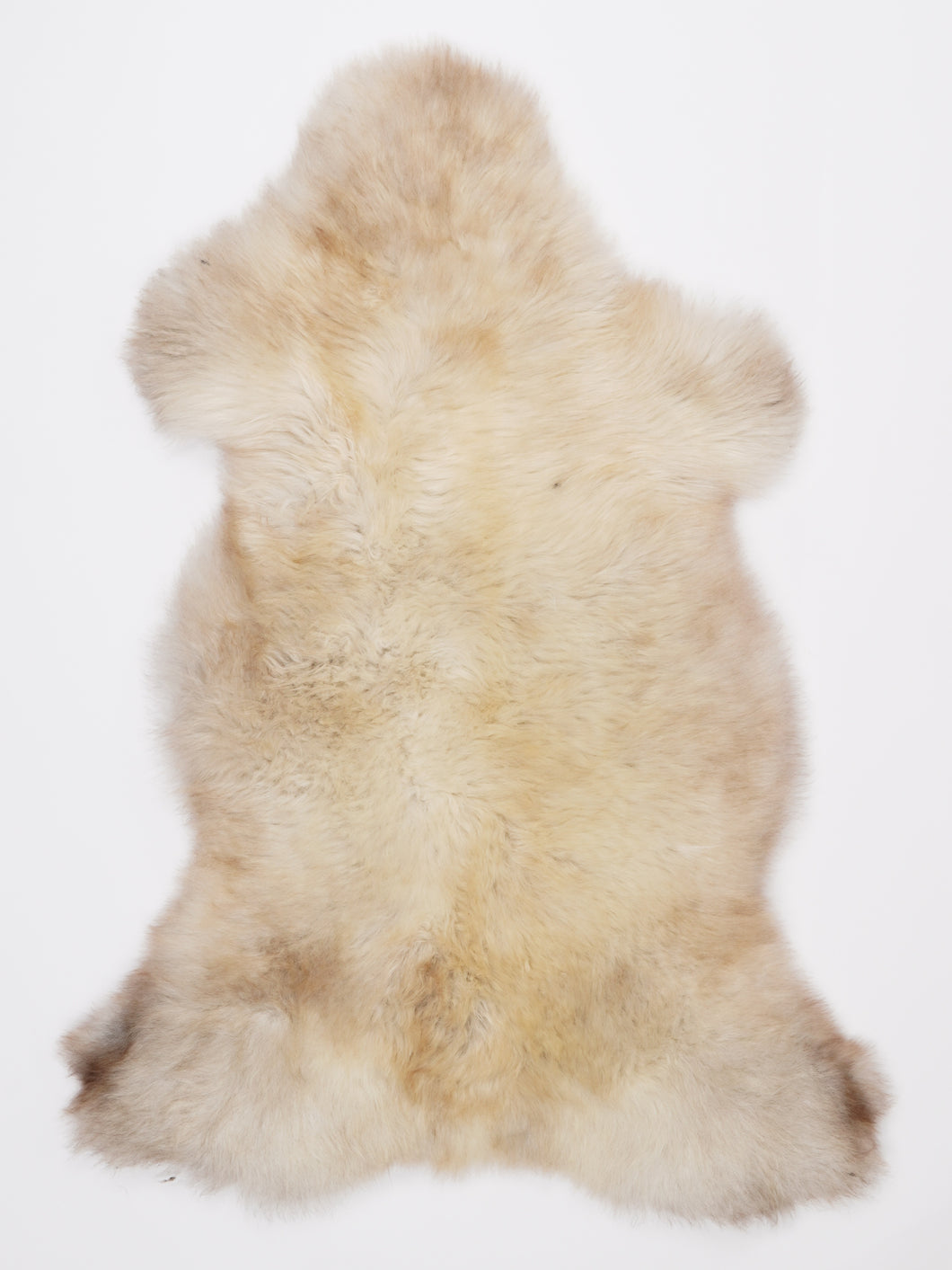 Įvairiaspalvis avikailis L