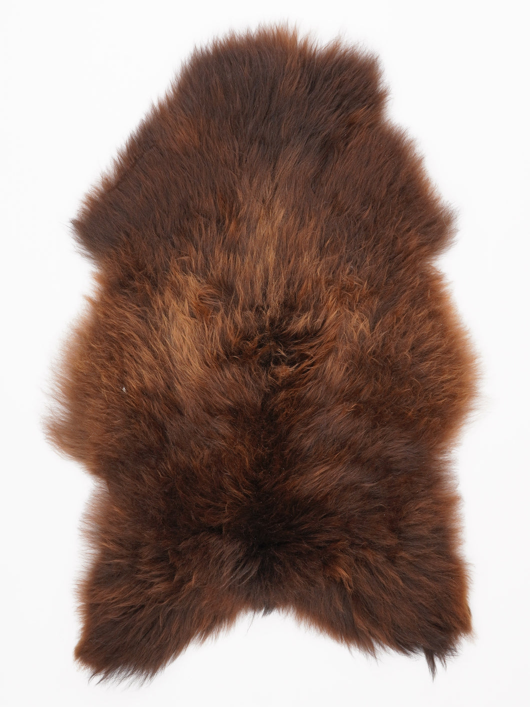 Islandiškas avikailis M