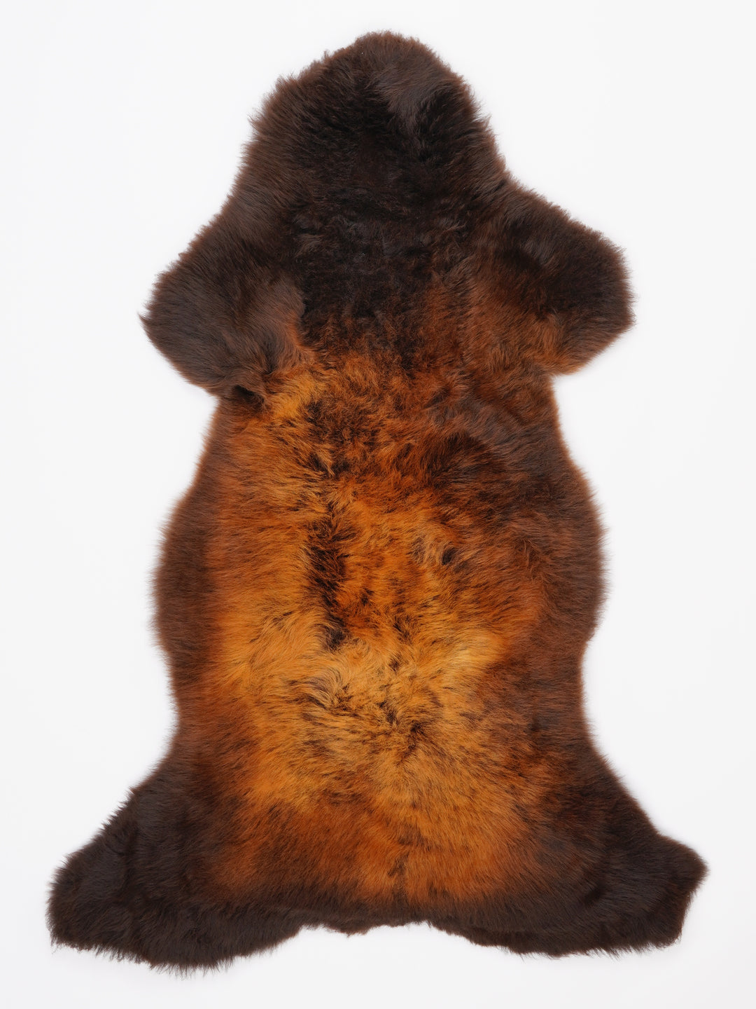 "Rusty" Įvairiaspalvis avikailis XL