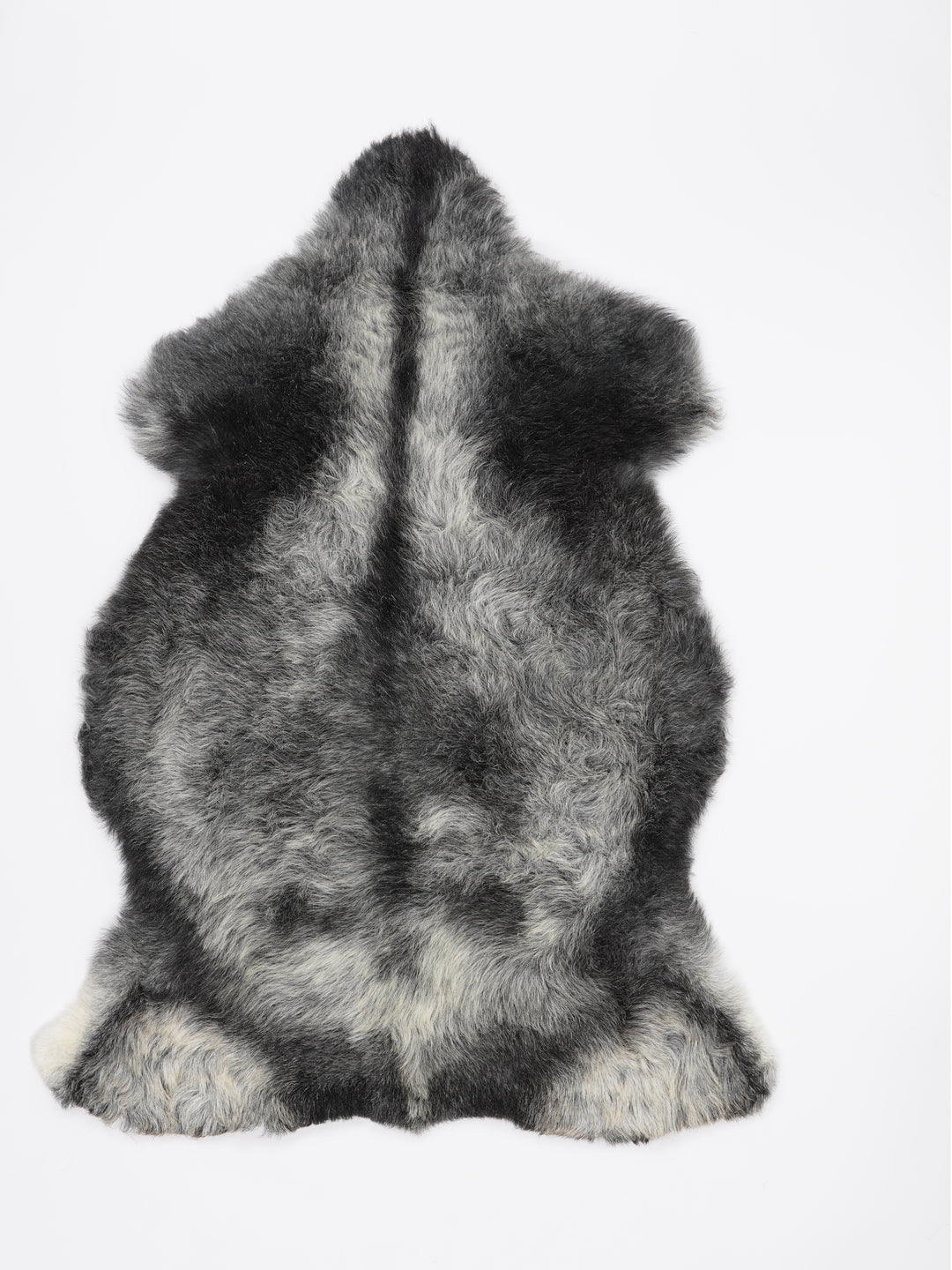 Įvairiaspalvis avikailis L