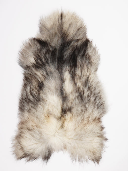 Pilkas islandiškas avikailis XXL