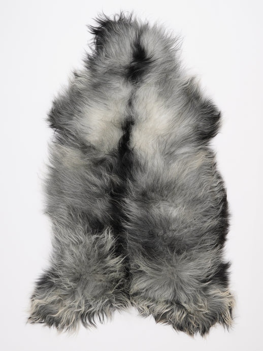 Islandiškas avikailis XXL