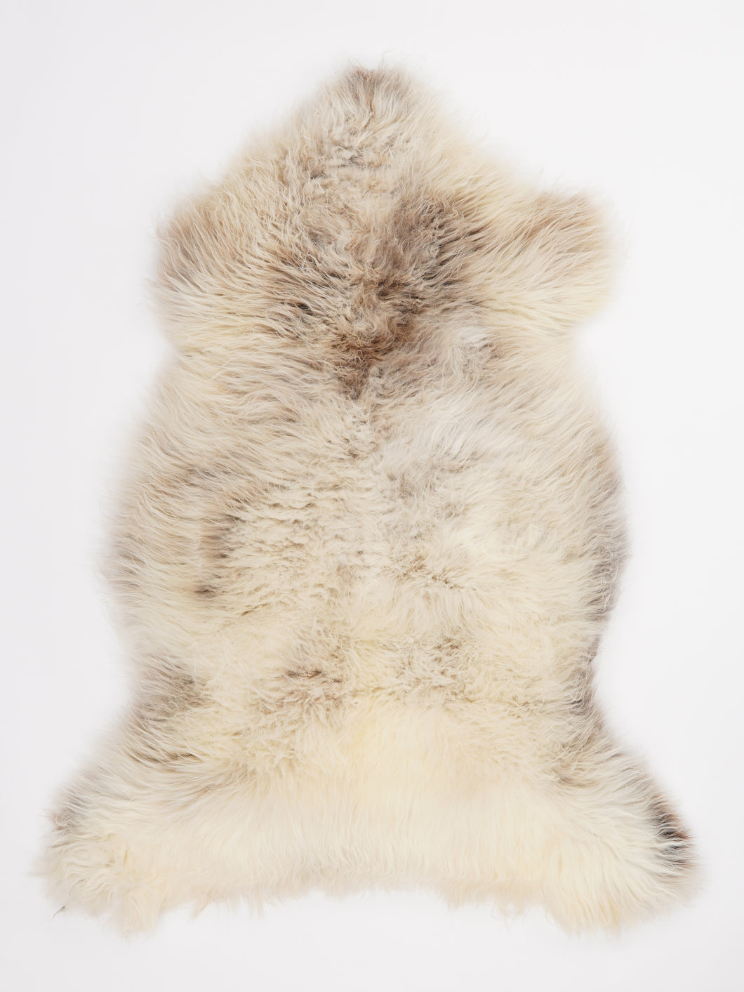 Įvairiaspalvis avikailis L