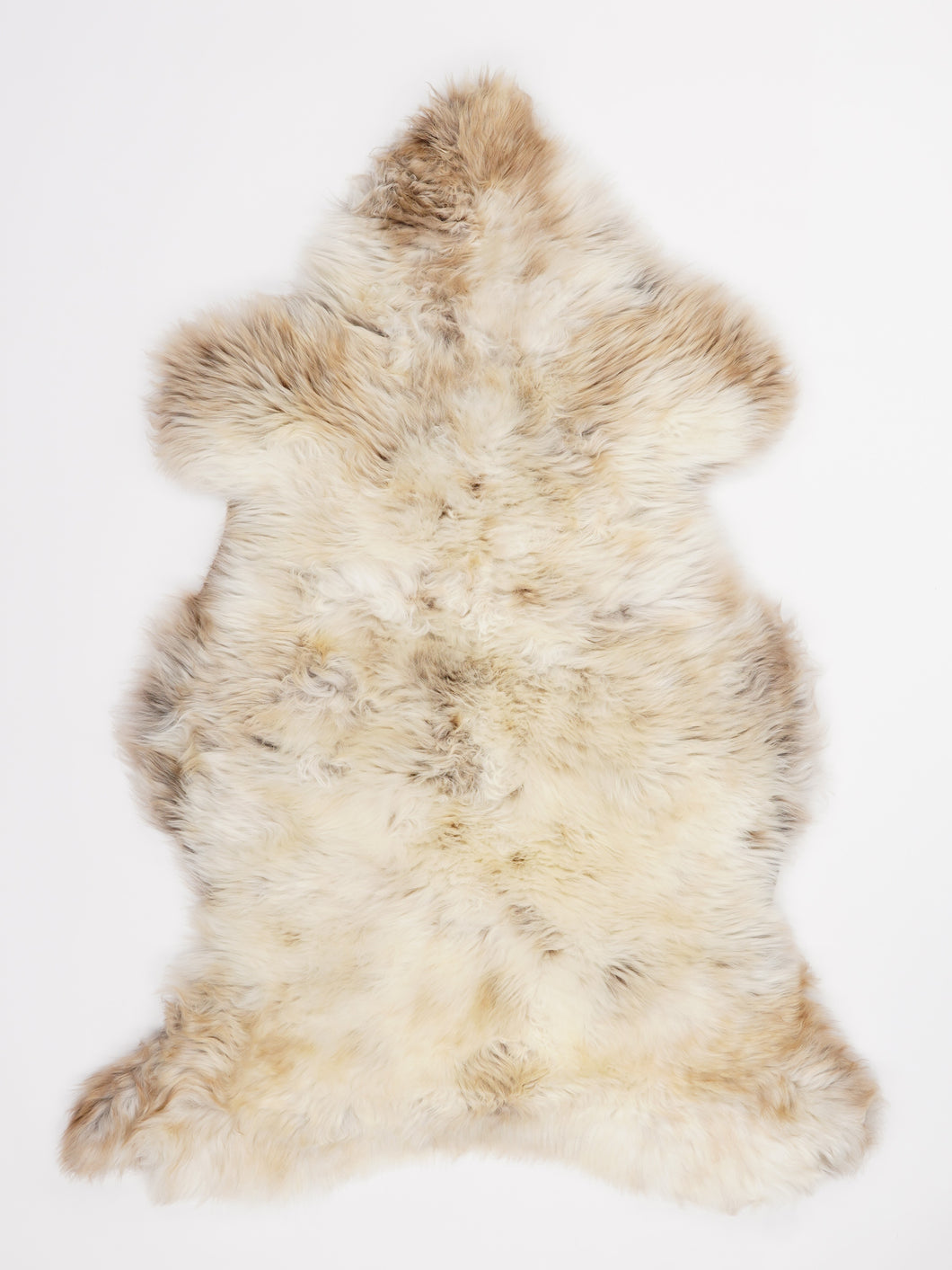 Įvairiaspalvis avikailis L