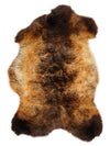 "Rusty" įvairiaspalvis avikailis M