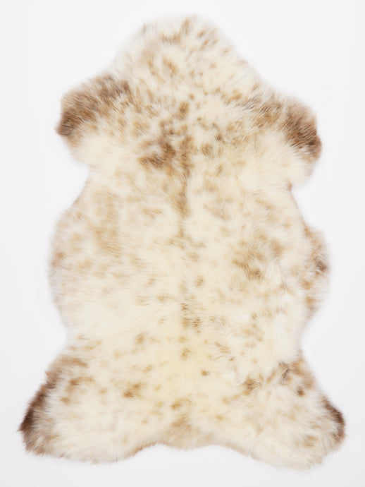 Įvairiaspalvis avikailis L