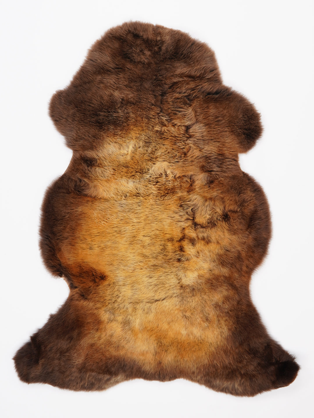 "Rusty" Įvairiaspalvis avikailis L