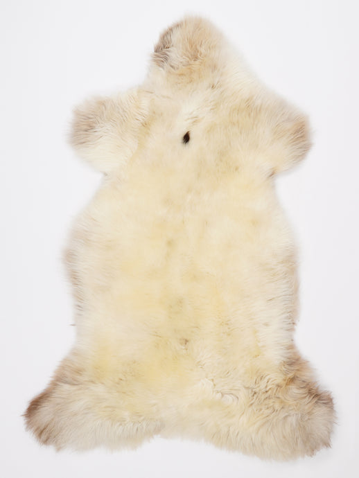 Įvairiaspalvis avikailis XL