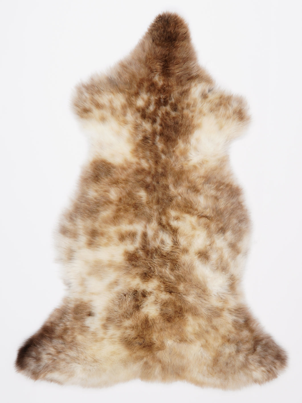 Įvairiaspalvis avikailis L