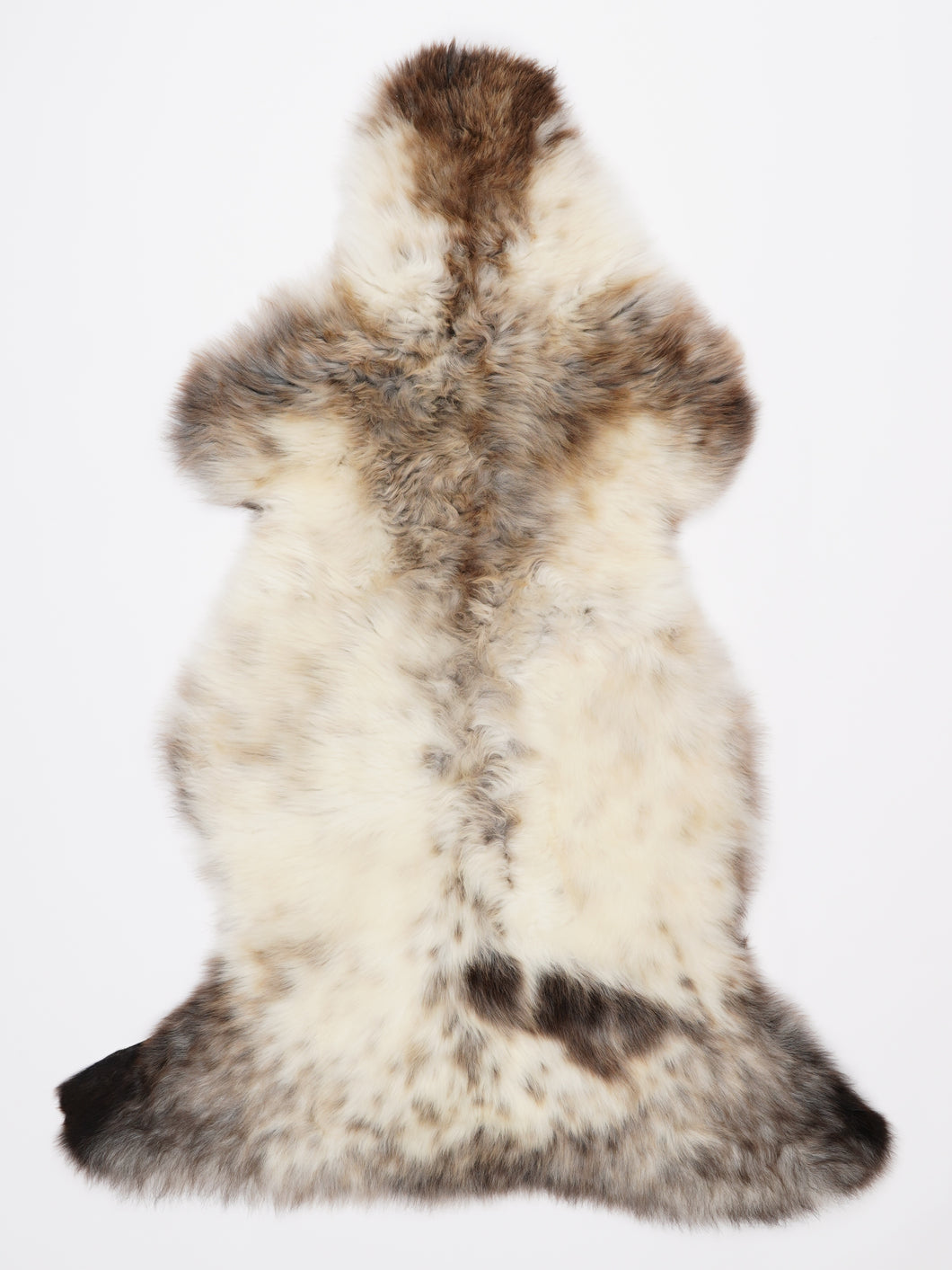 Įvairiaspalvis avikailis XL