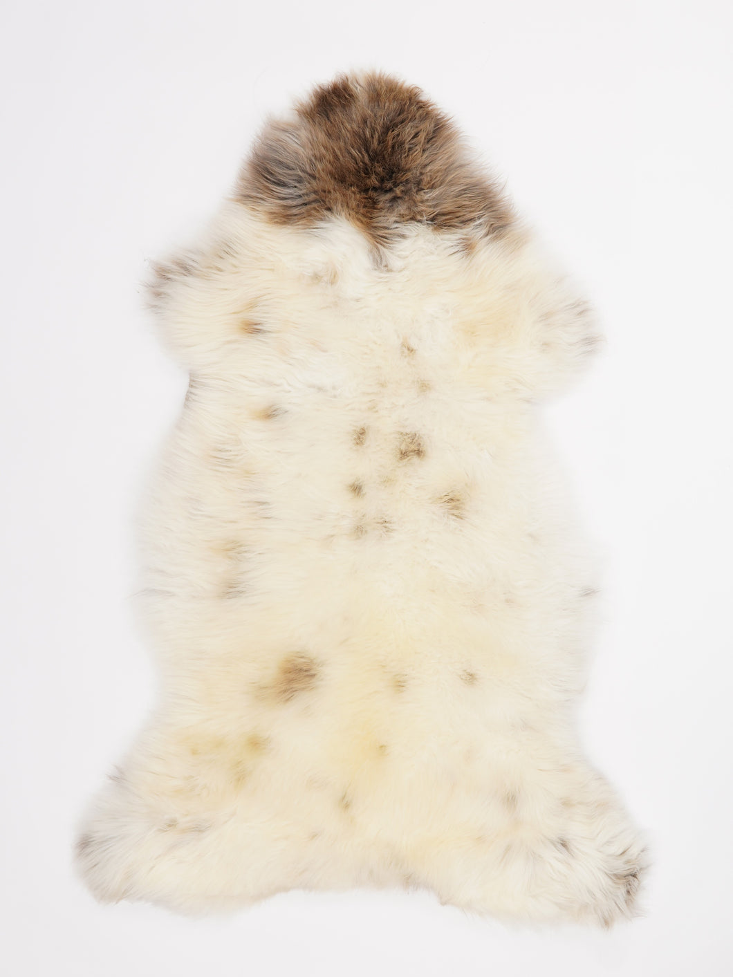 Įvairiaspalvis avikailis L