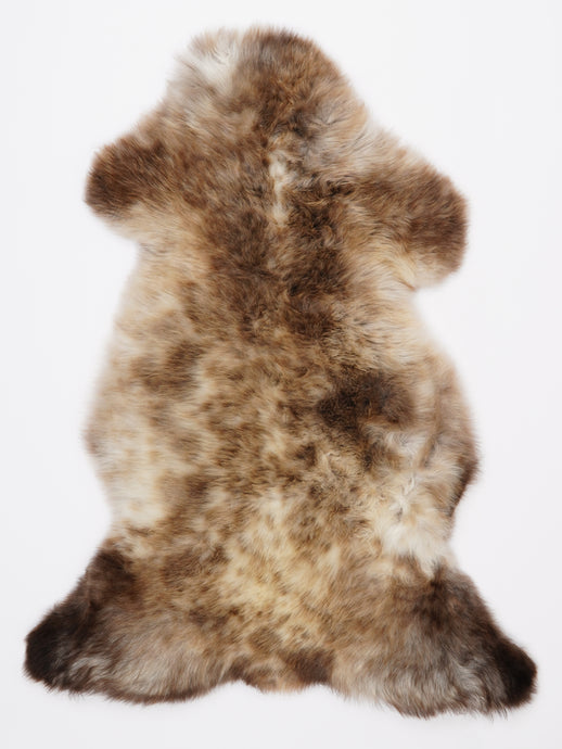 Įvairiaspalvis avikailis L