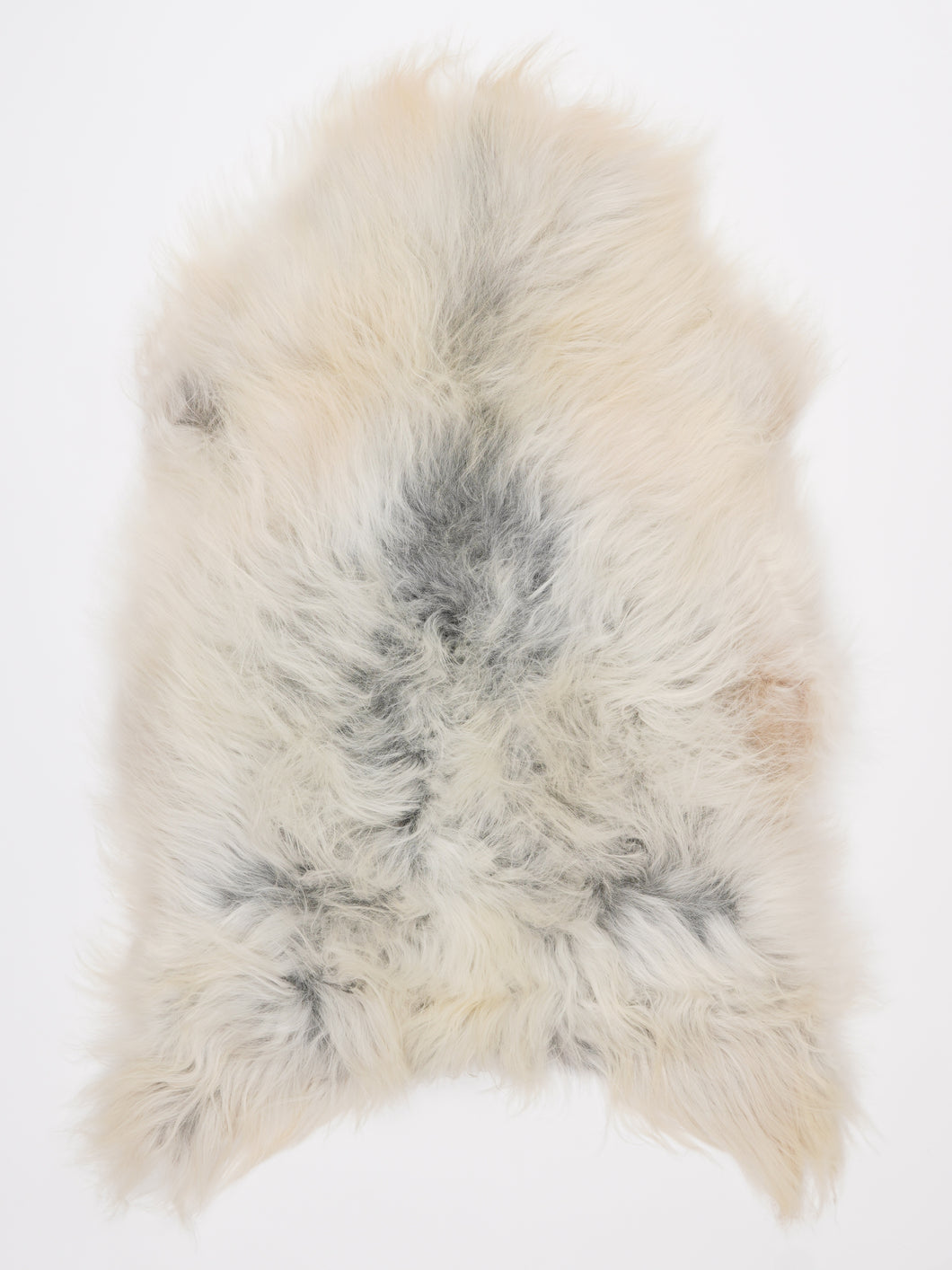 Islandiškas avikailis L