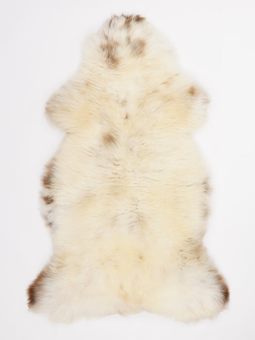 Įvairiaspalvis avikailis XL