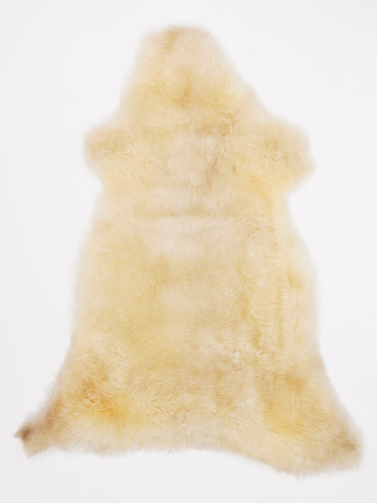 Įvairiaspalvis avikailis M