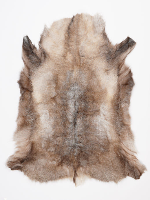 Šiaurinio elnio kailis XL