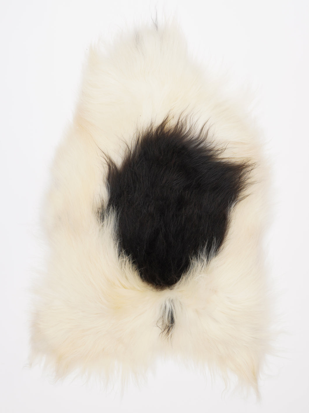 Islandiškas avikailis L