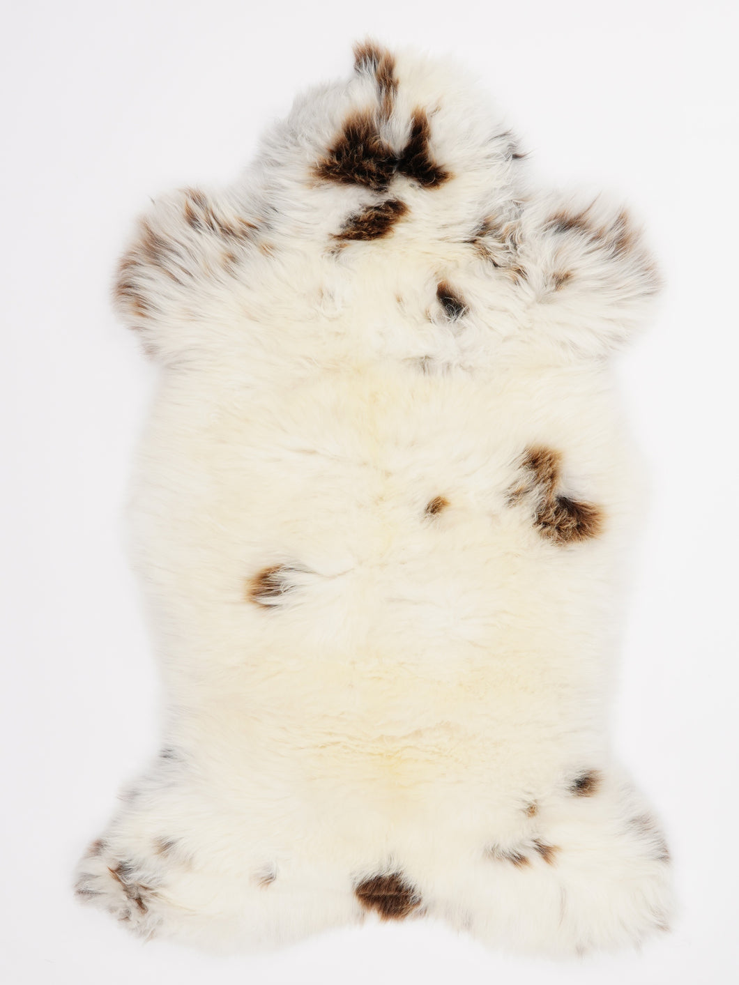 Įvairiaspalvis avikailis L