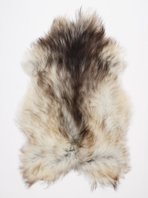 Islandiškas avikailis XL