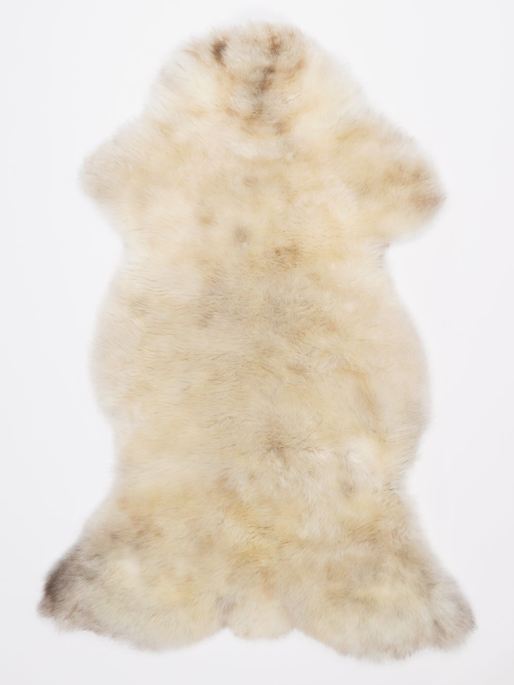 Įvairiaspalvis avikailis L