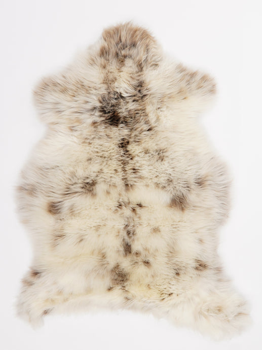 Įvairiaspalvis avikailis M