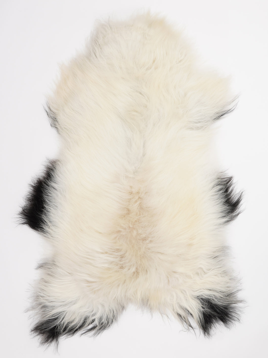 Islandiškas avikailis XL