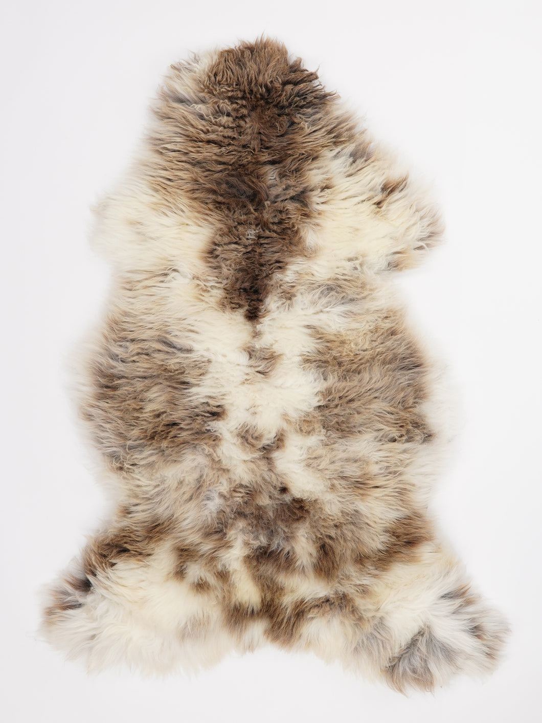 Įvairiaspalvis avikailis XL